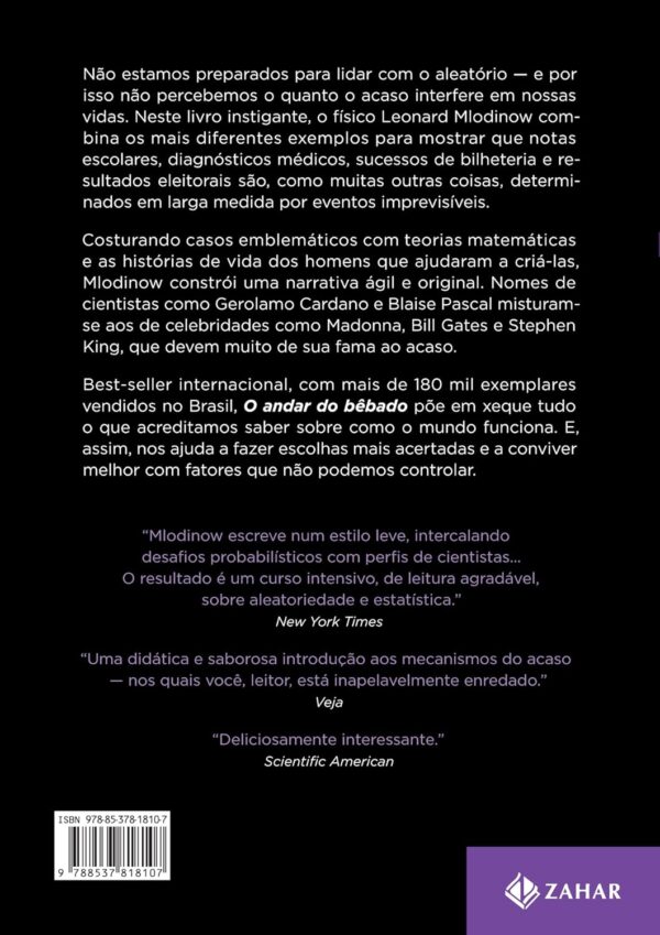 O andar do bêbado: Como o acaso determina nossas vidas - Imagem 2
