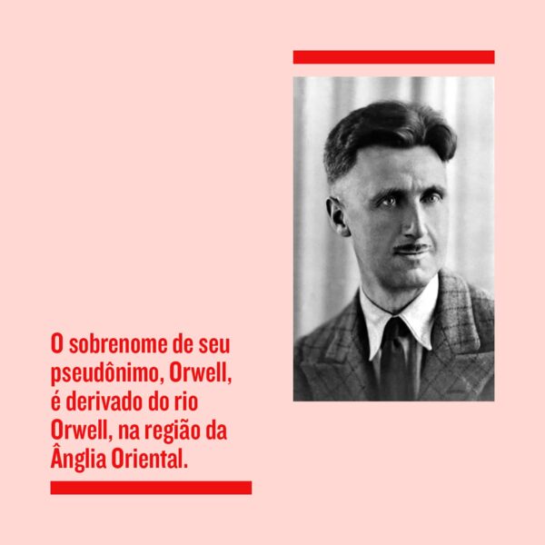 A revolução dos bichos: Um conto de fadas Capa comum - Imagem 3